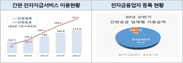 (출처 : 한국은행, 2019년 결제보고서, 2020년 상반기 전자지급서비스 이용 현황, 재구성)